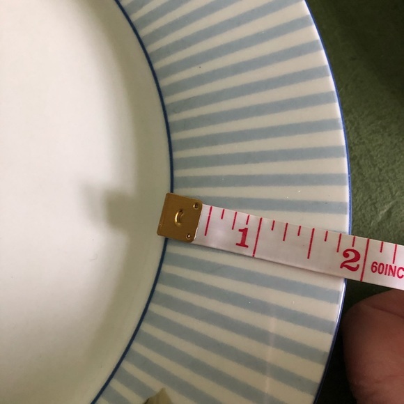 Laura Ashley Brighton Rose Rimmed Dinner Plates - Picture 4 of 6